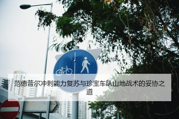 范德普尔冲刺能力复苏与珍宝车队山地战术的妥协之道
