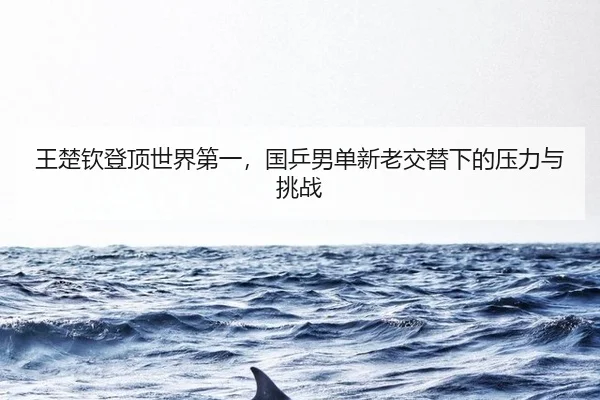 wang-chu-qin-deng-ding-shi-jie-di-yi-guo-ping-nan-dan-xin-lao-jiao-ti-xia-de-ya-li-yu-tiao-zhan-2-222.jpg